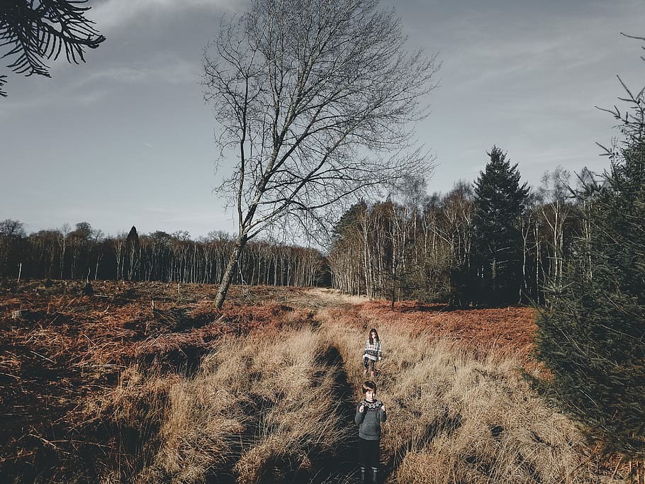 Children in the woods, boy walking on brown grass field, tree HD wallpaper