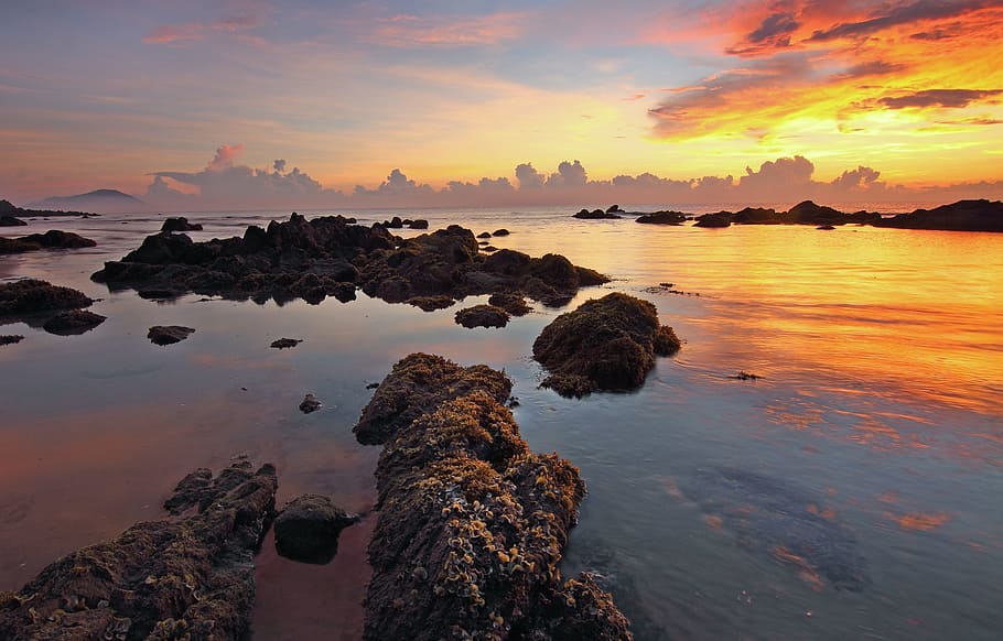 landscape photography of body of water during sunset, beach HD wallpaper