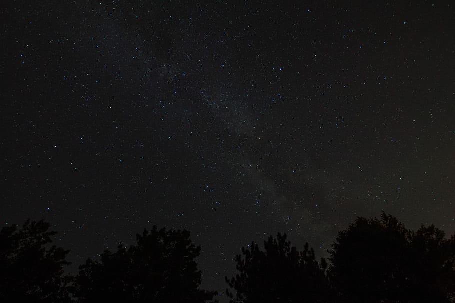 silhouette of trees under starry night, sky, dark, black, stars HD wallpaper
