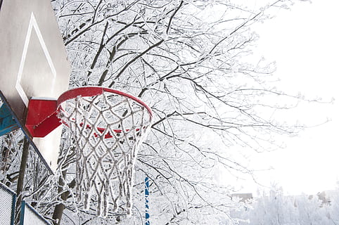 winter, snow, coldly, leann, ice, ring, basketball, frost, trees HD wallpaper