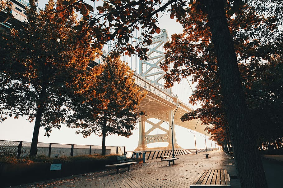 6AM, benches with pathway near metal bridge during daytime, sunset HD wallpaper