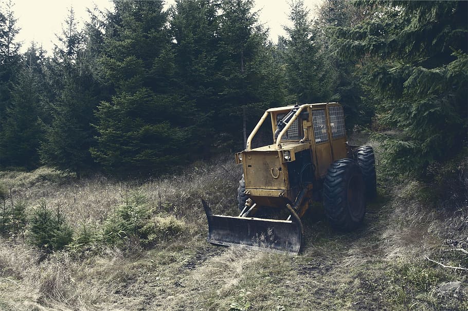 front loader on near the trees, yellow, backhoe, surrounded, green