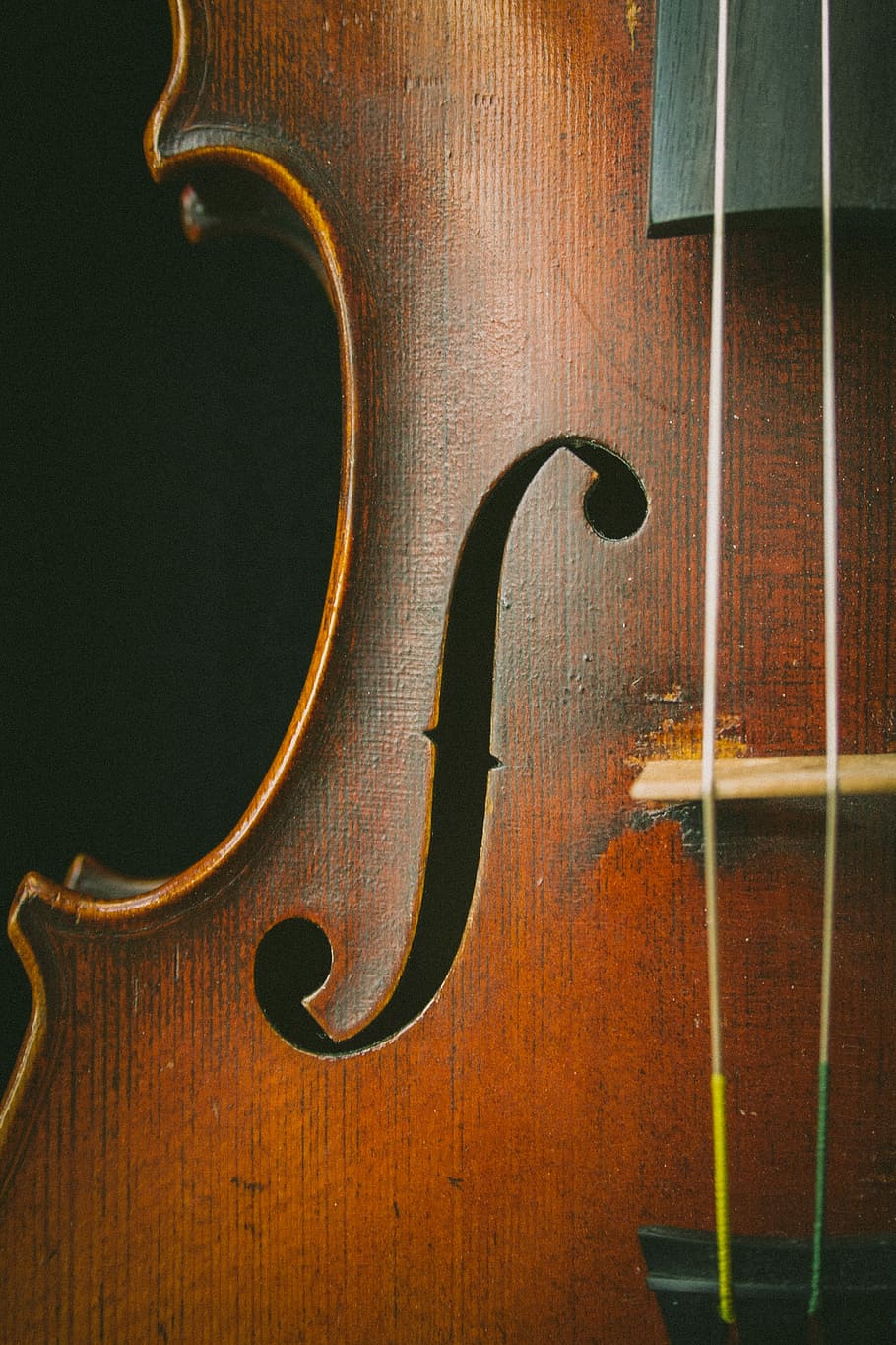 brown violin, photography of violin F-hole, instrument, viola