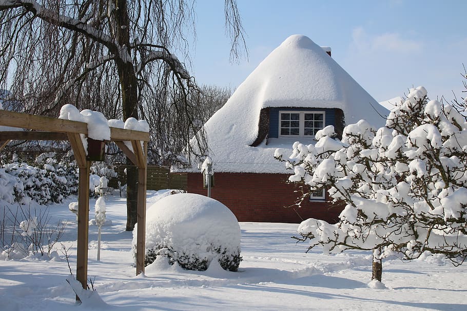 snow, winter, cold, frost, cold temperature, architecture, built structure HD wallpaper