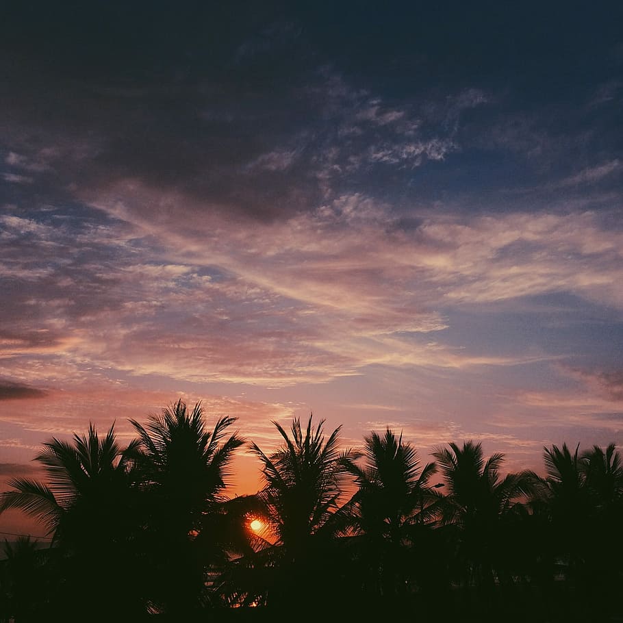 Sunset, Beach, Calm, Sea, Sky, costa del sol, horizon, holiday HD wallpaper