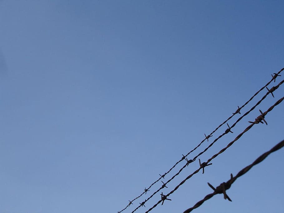 Barbed, Wire, War, Security, protecting, protection, restricted HD wallpaper