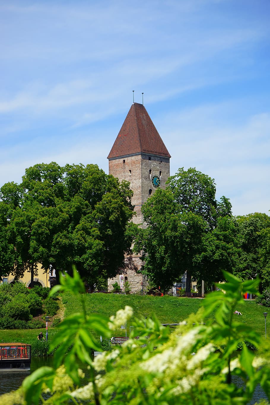 Goose, Tower, Ulm, goose tower, black elderberry, elderflower HD wallpaper