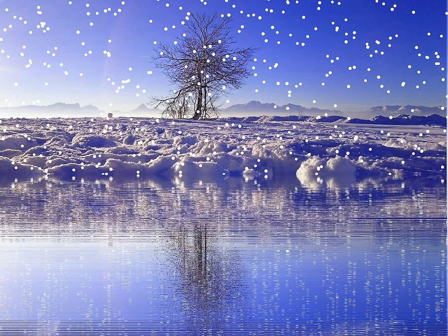 winter, snow, snowfall, wintry, cold, snow landscape, snow crystals HD wallpaper