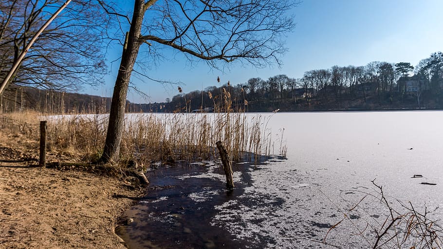 nature, tree, waters, winter, landscape, cold, rest, wintry HD wallpaper