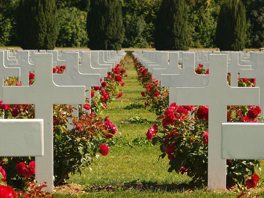 France, Douaumont Ossuary, Cemetery, graves, headstone, historical, HD wallpaper