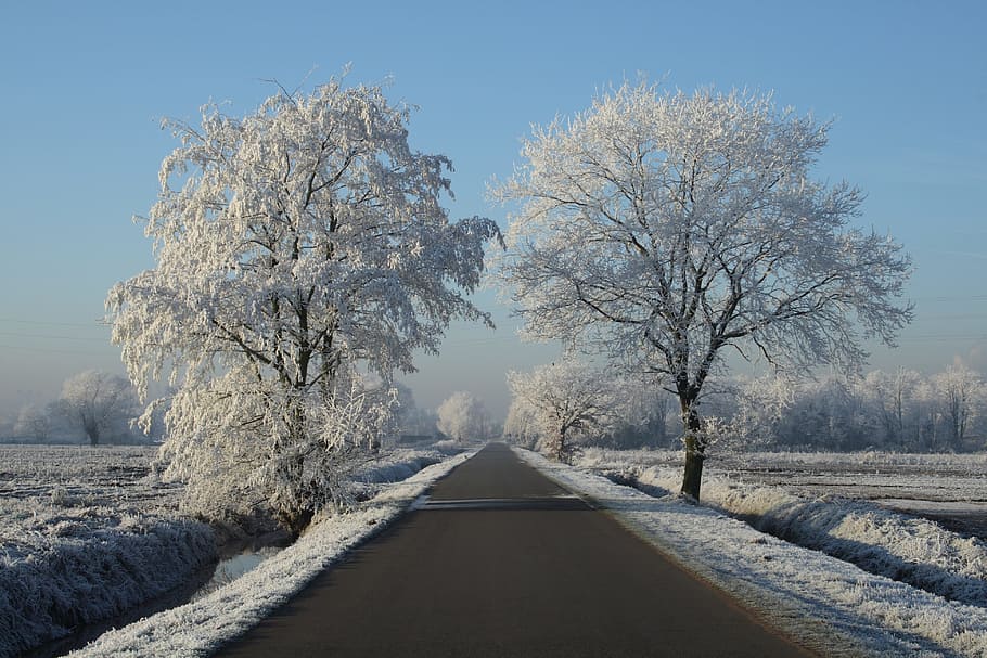 Winter, Snow, Freezing, Landscape, winter landscape, ze, snow landscape HD wallpaper