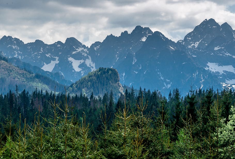 mountains, tatry, tops, blue, green, the high tatras, landscape, HD wallpaper