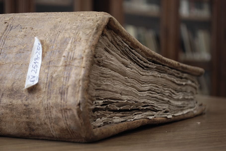 brown hardbound book, library, education, knowledge, archive HD wallpaper