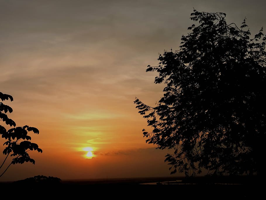 plain, sunset, sky, silhouette, beauty in nature, scenics - nature HD wallpaper
