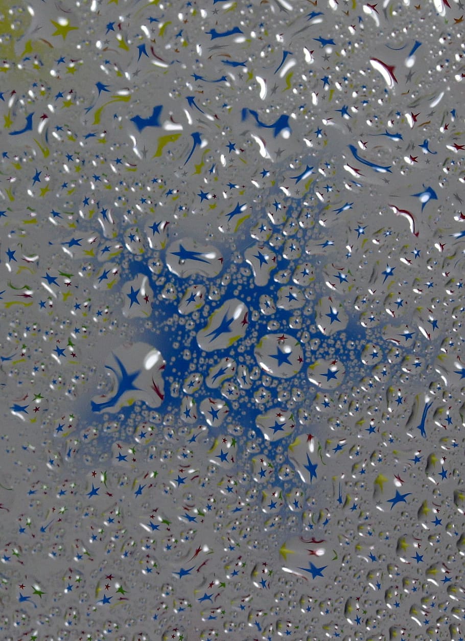 drops, refractive, coloring, water, underwater, animal, animal wildlife HD wallpaper