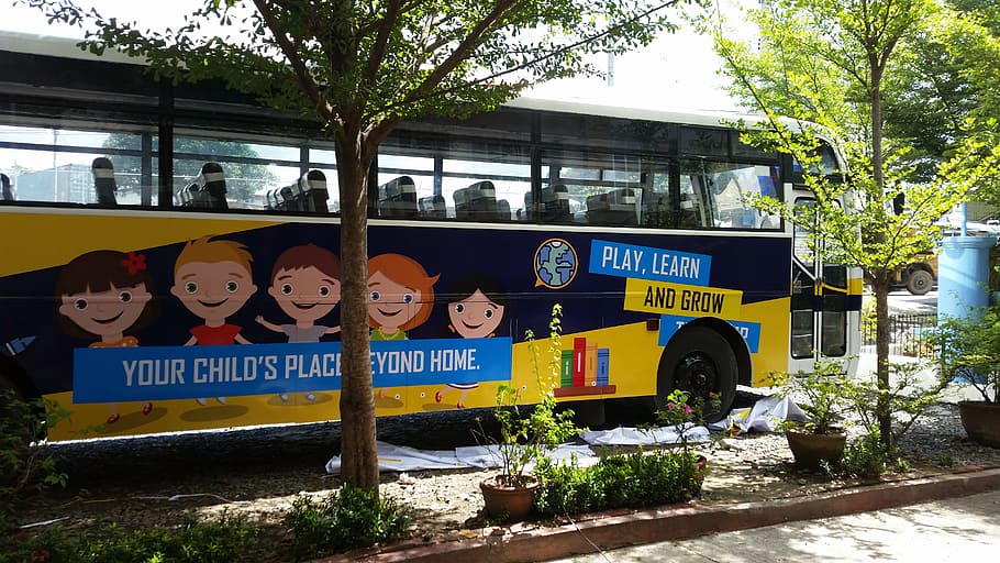 school bus, bus sticker, text, tree, plant, communication, western script HD wallpaper