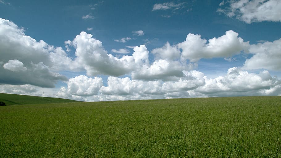 green grassland under white and blue cloudy sky during daytime HD wallpaper