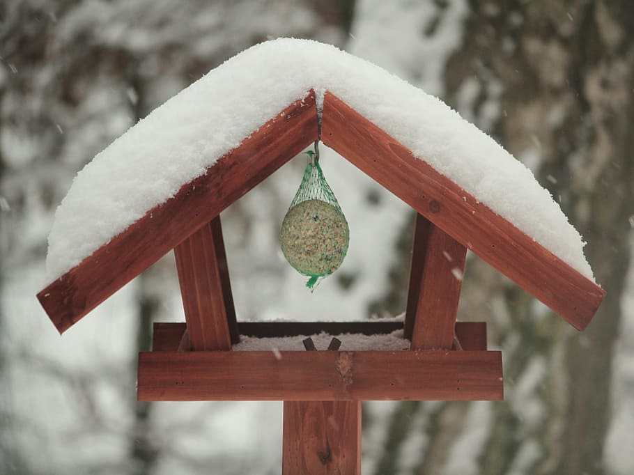 aviary, fat balls, winter, depend, feed, bird seed, bird feeder HD wallpaper