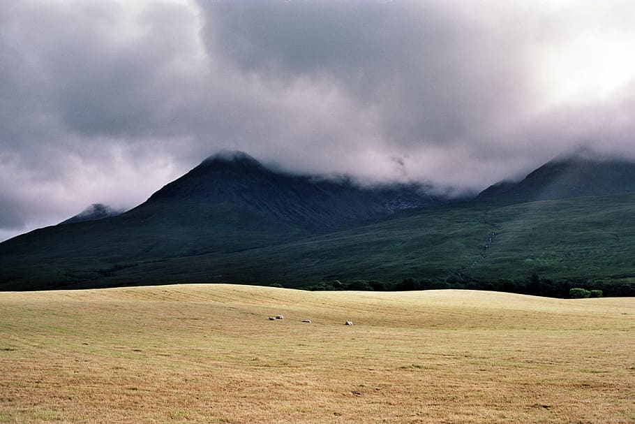 rolling hills, dark clouds over mountain, mountail, grass, mist HD wallpaper