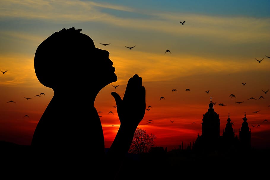 silhouette photography of person praying, religion, faith, man