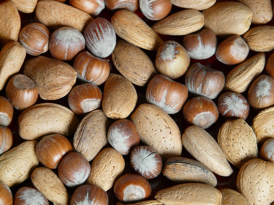 stack of brown hazel nuts and seeds, almonds, hazelnuts, walnuts HD wallpaper