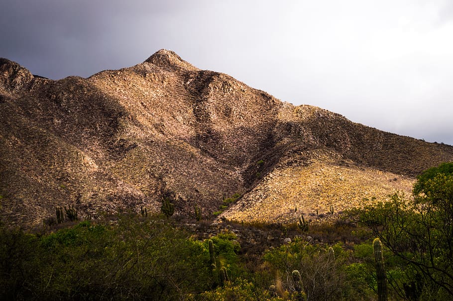 Photo of Mountain Near Forest, cactuses, clouds, daylight, grass HD wallpaper