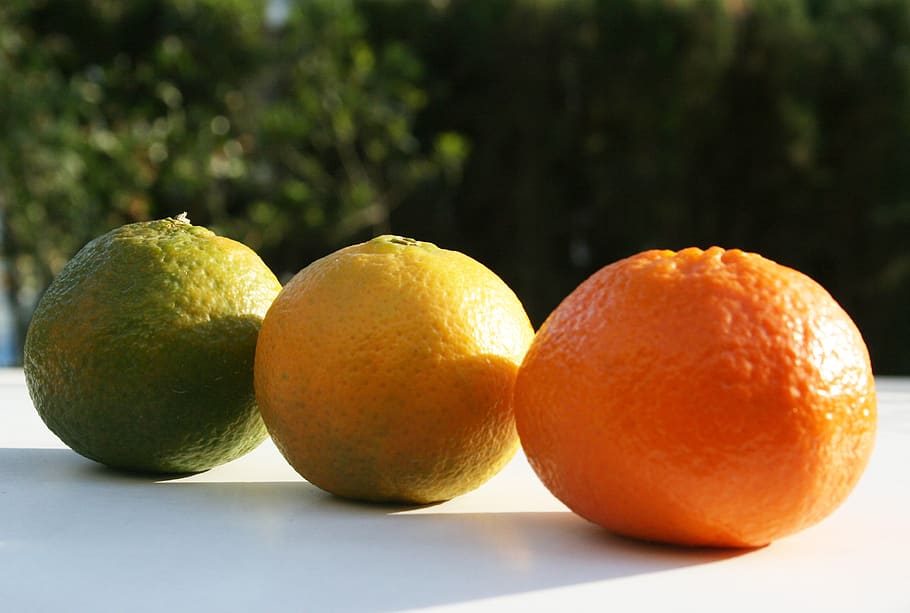 fruit, orange, bless you, citrus fruit, food and drink, healthy eating HD wallpaper