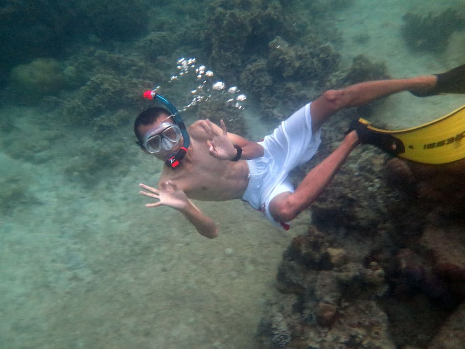 dede, kamelanta, strait, diving, underwater, swimmer, water sports HD wallpaper