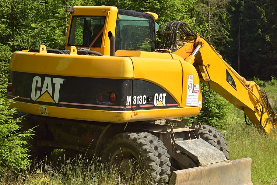 Forestry Vehicle, Tree, Cases, tree cases, limbing, large, enormous HD wallpaper