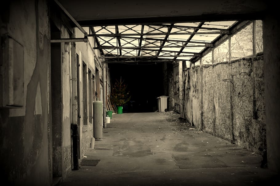 hall, fir tree, bleak, architecture, the way forward, built structure HD wallpaper