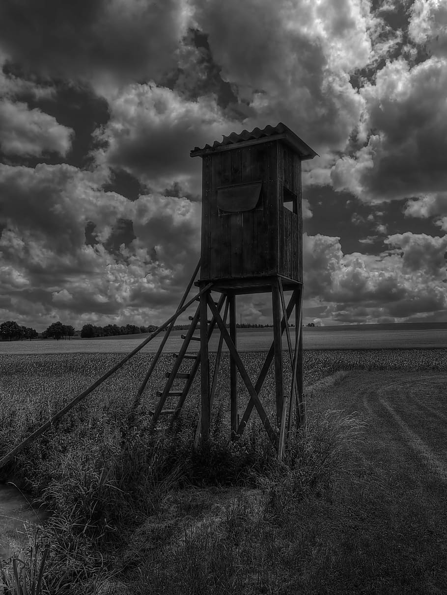 hunter was, perch, clouds, field, nature, still, idyll, summer HD wallpaper