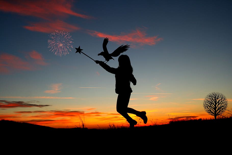 silhouette of a person playing with bird during sunset, witch HD wallpaper
