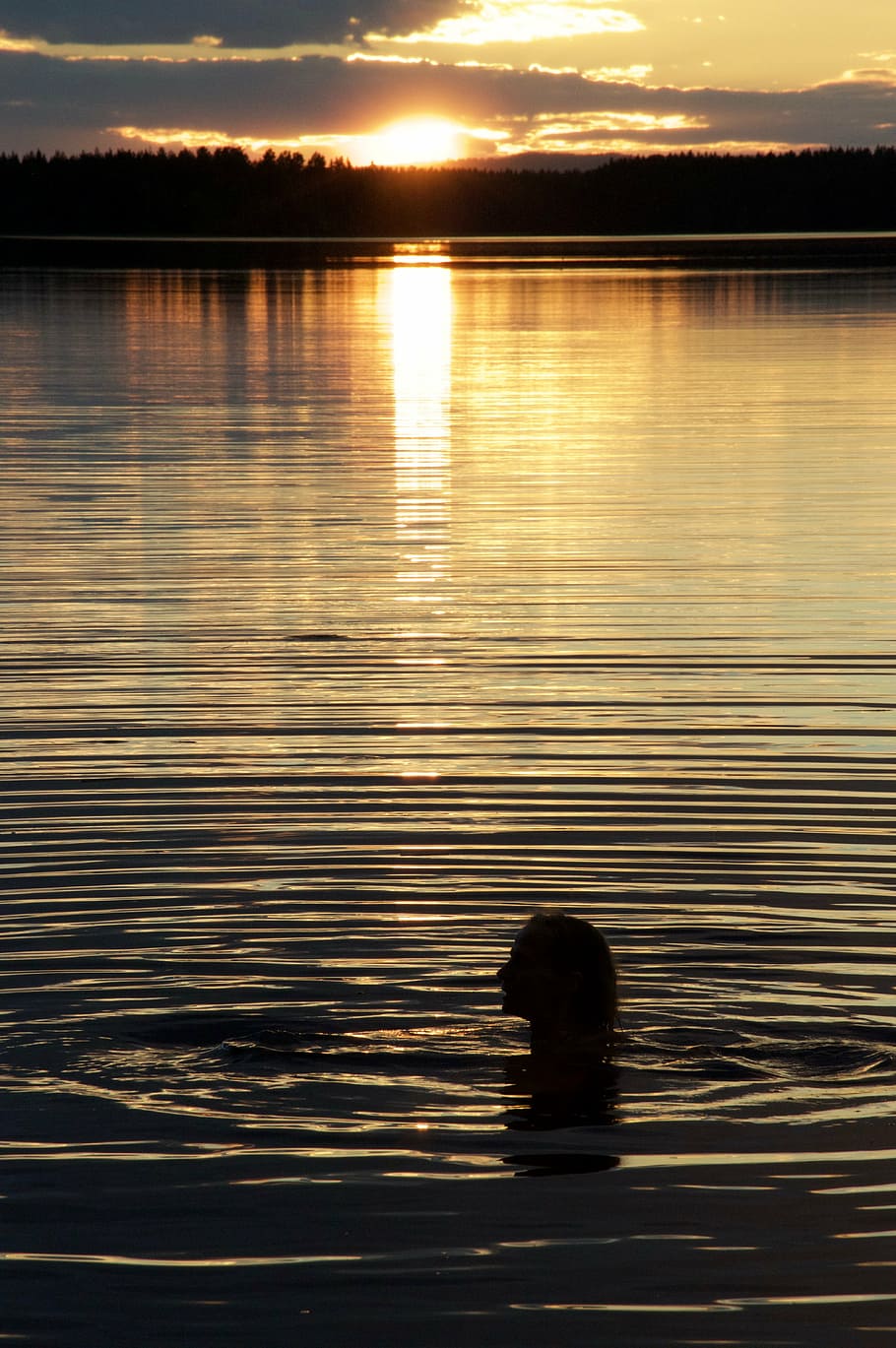 bath, sunset, lake, peaceful, reflection, silhouette, water HD wallpaper