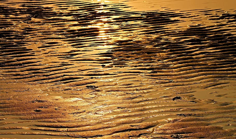 body of water, beach, ebb, sunlight, wave, evening light, evening sun HD wallpaper