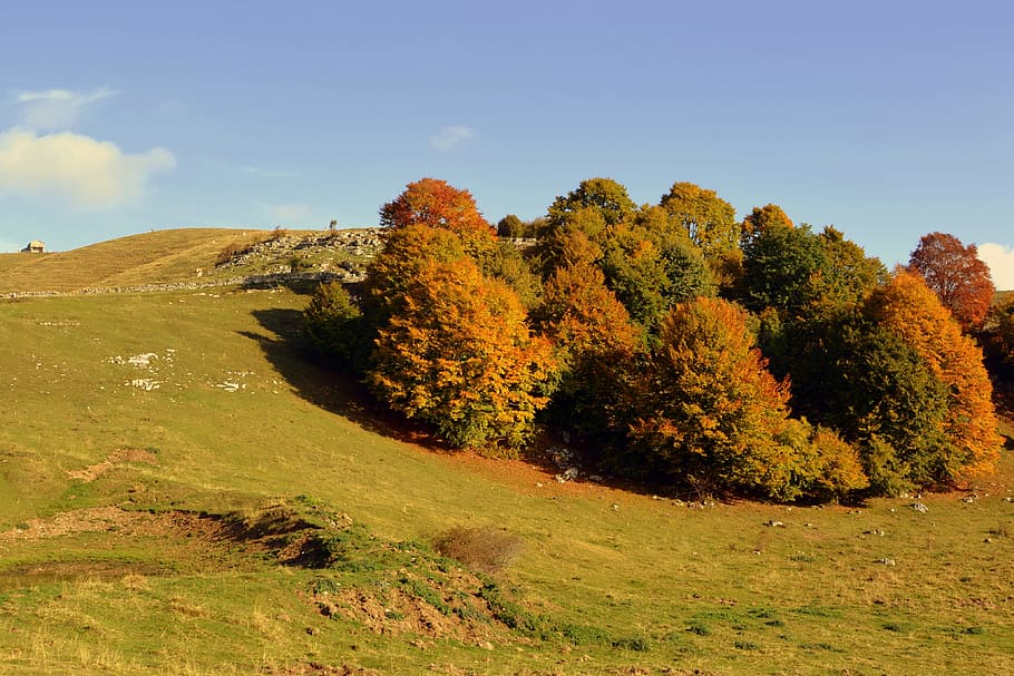 excursion, trees, autumn, trail, mountain, the european path HD wallpaper