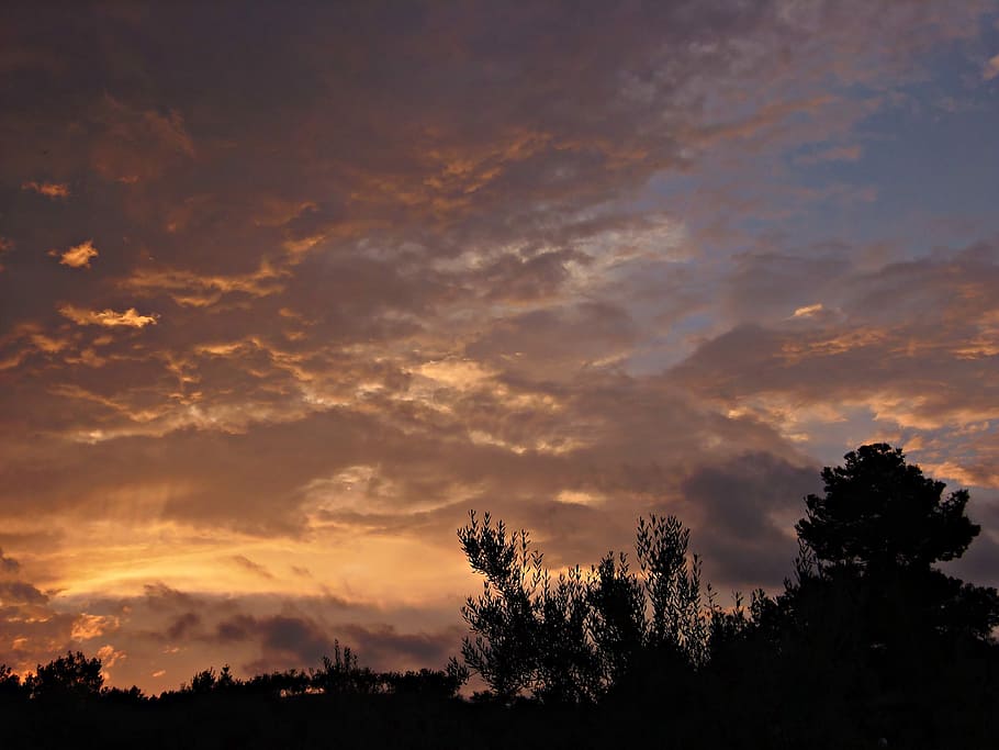 Sunset, Violet, Tones, Landscape, violet tones, evening clouds, HD wallpaper