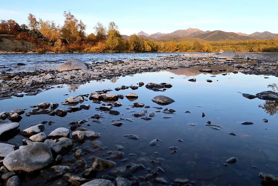 autumn, river, mountains, forest, fall colors, landscape, nature HD wallpaper
