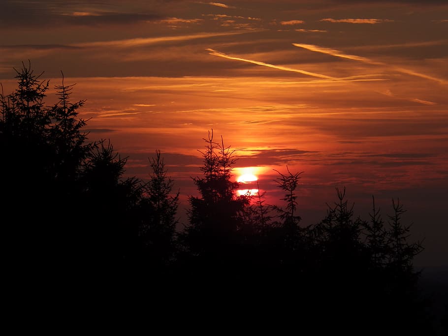 sunset, mood, afterglow, sky, silhouette, tree, beauty in nature HD wallpaper