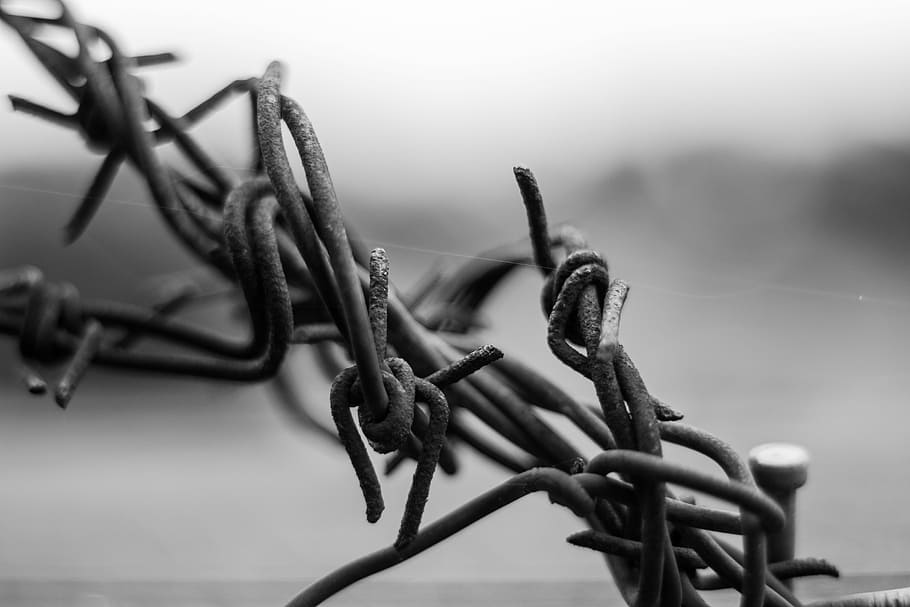 Wire, Prison, Depth, the depth of the, barbed wire, atmosphere, HD wallpaper