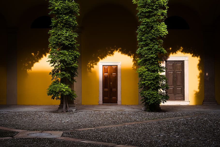 two closed door with tree infront, yellow, cyprus trees, square HD wallpaper
