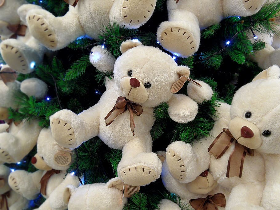 HD wallpaper: white bear plush toys on Christmas tree, bear cub, bears,  animal | Wallpaper Flare