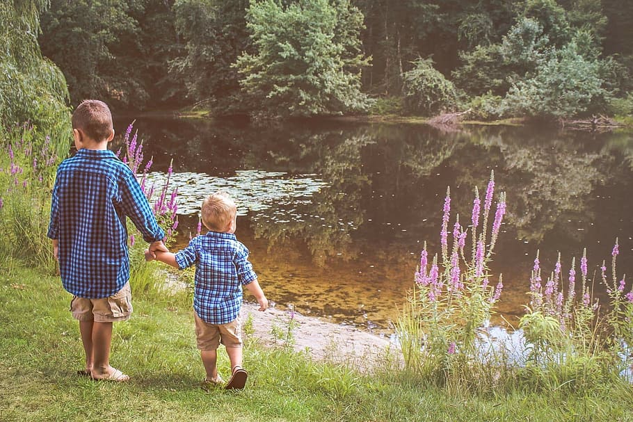boy and toddler holding hands while standing on green grass front of river at daytime HD wallpaper
