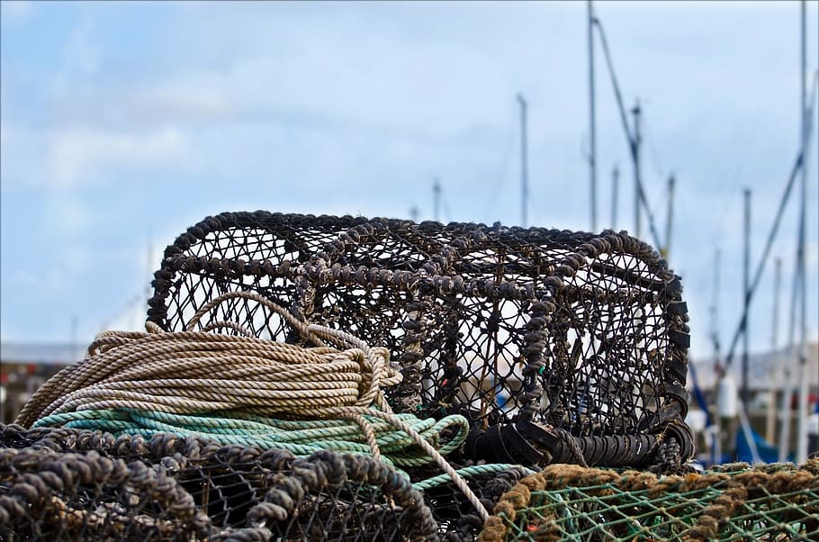 trap, crab, pots, lobster, coastal, fishery, bait, shore, net HD wallpaper