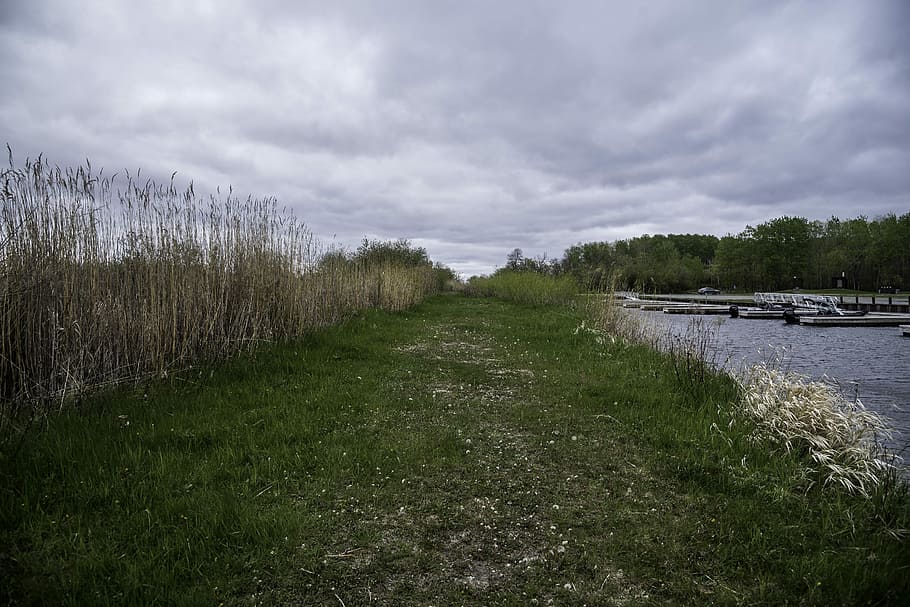Grassy path and Boat Docks at Zippel Bay State Park, Minnesota HD wallpaper