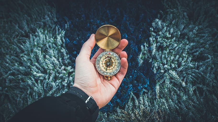 person holding round gold-colored compass, person holding pocket watch, HD wallpaper
