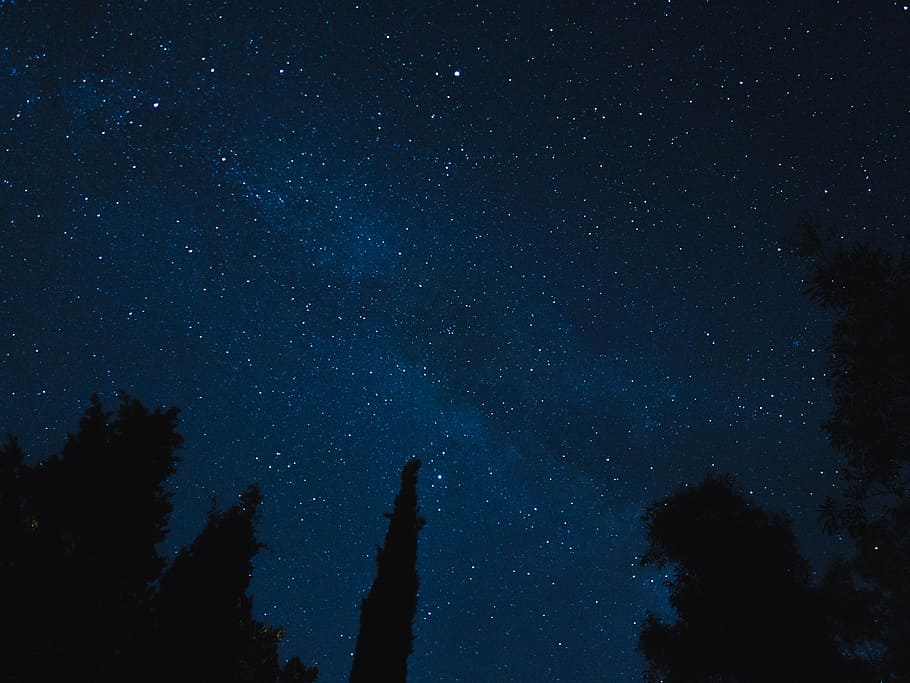 milky way galaxy photo, silhouette of trees under sky with stars photo taken during nighttime, HD wallpaper