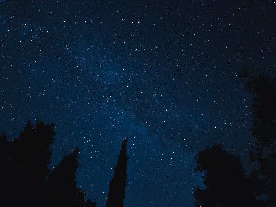milky way galaxy photo, silhouette of trees under sky with stars photo taken during nighttime HD wallpaper