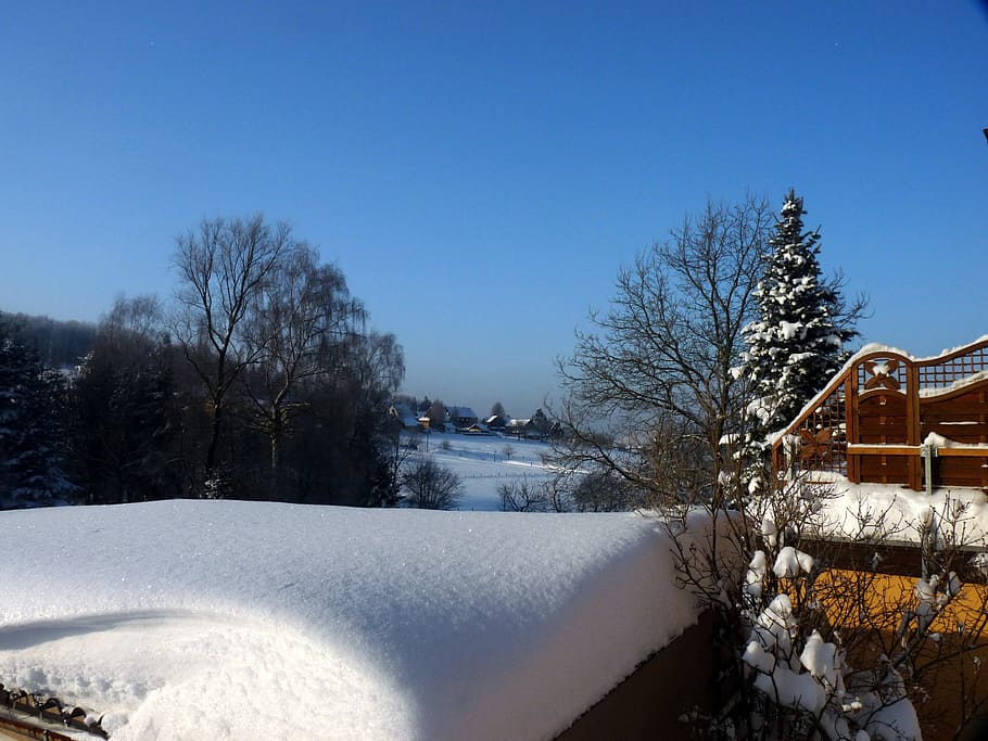Hinterhermsdorf, Winter, Snow, Cold, cold temperature, tree HD wallpaper