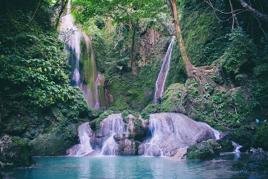 Water Falls in With Green Trees Photography, beautiful, daylight HD wallpaper