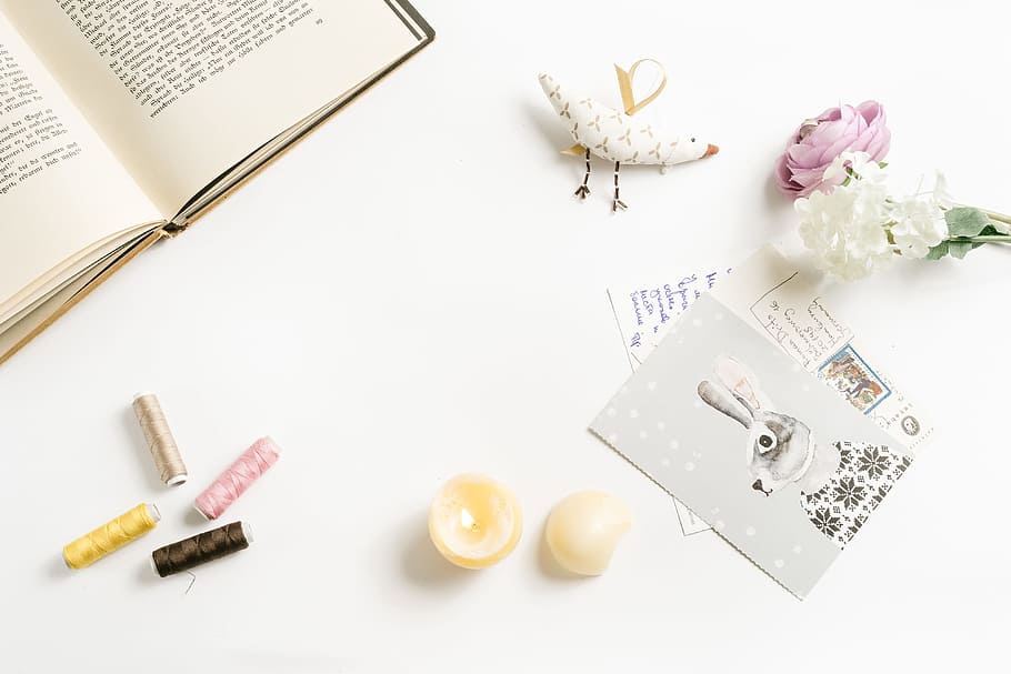 Styled photo with rabbit and postcards, concepts And Ideas, close-up HD wallpaper
